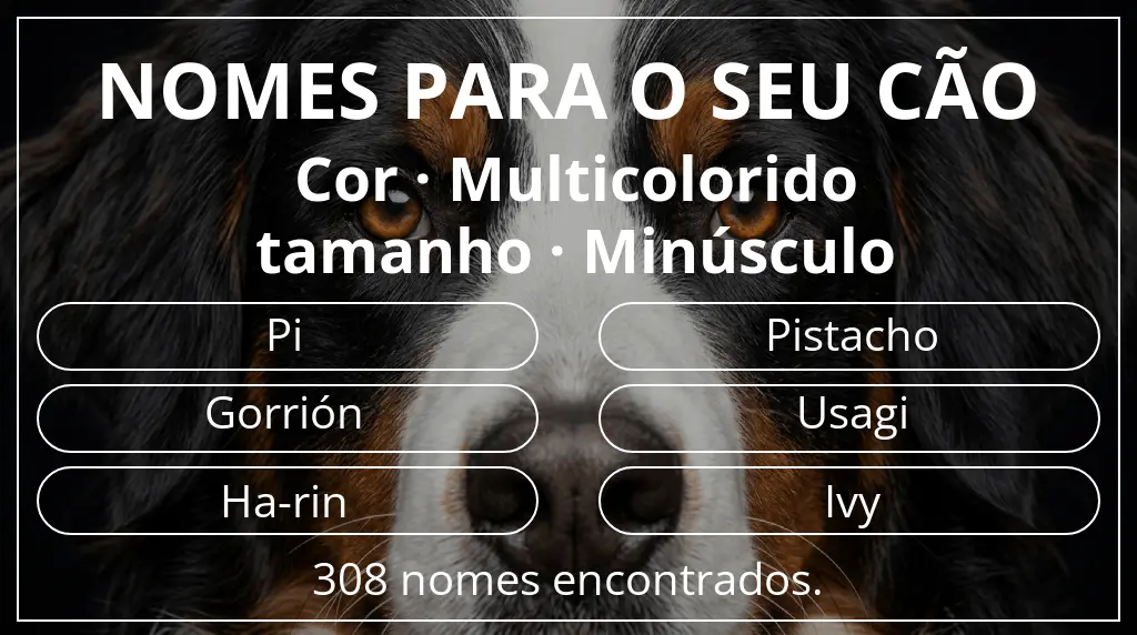 Nomes caninos com inspiração em cor multicolorido e tamanho minúsculo