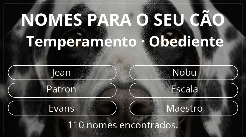 Nomes caninos segundo temperamento obediente