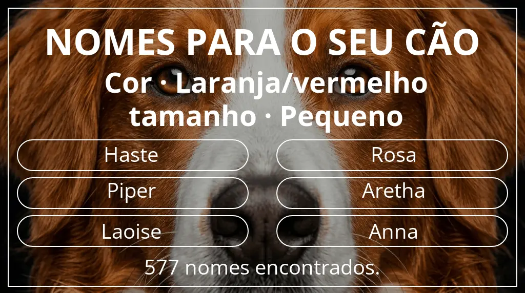 Nomes caninos com inspiração em cor laranja/vermelho e tamanho pequeno
