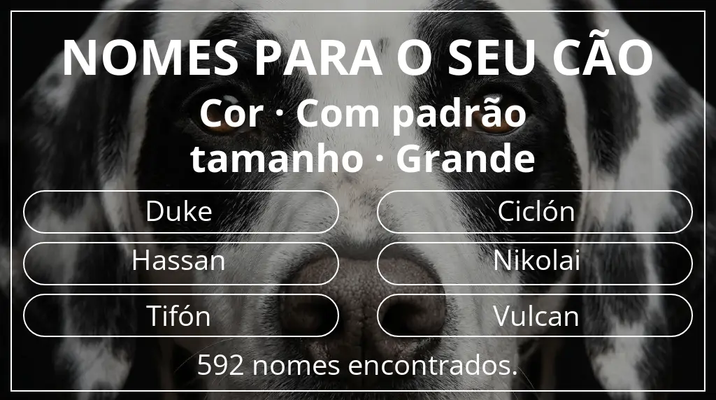 Nomes para cães baseados em cor com padrão e tamanho grande