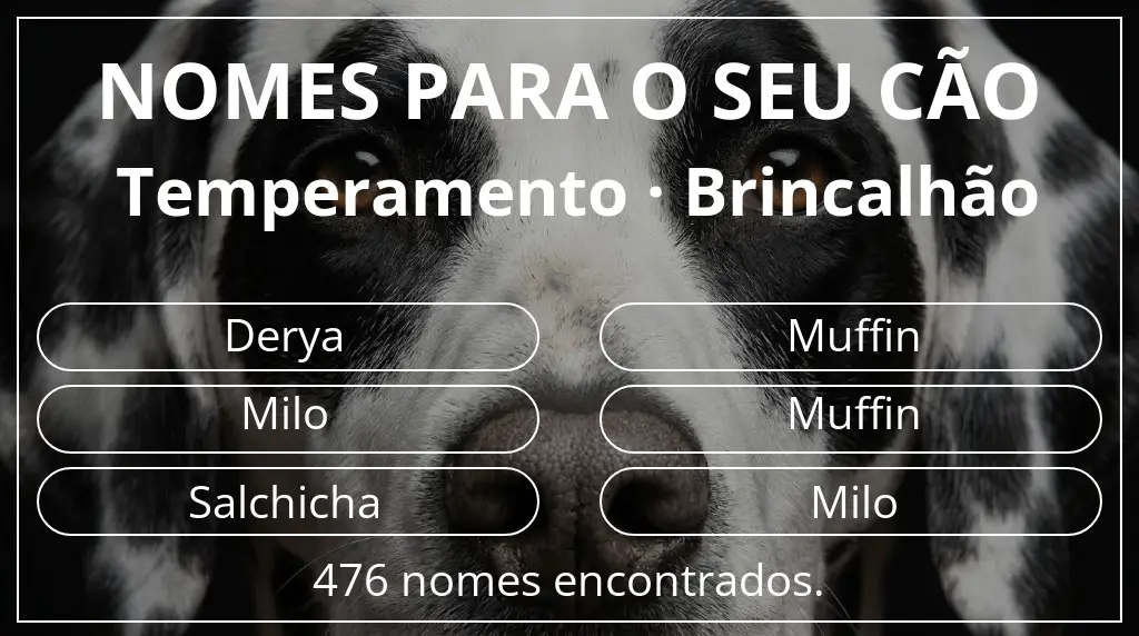 Nomes caninos baseados em temperamento brincalhão