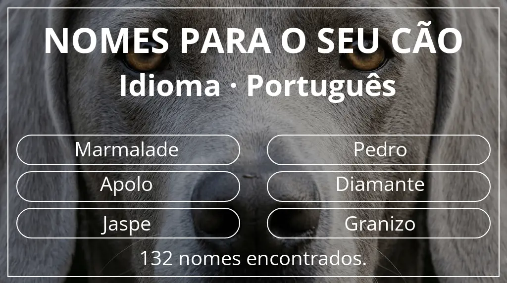 Nomes caninos segundo idioma português