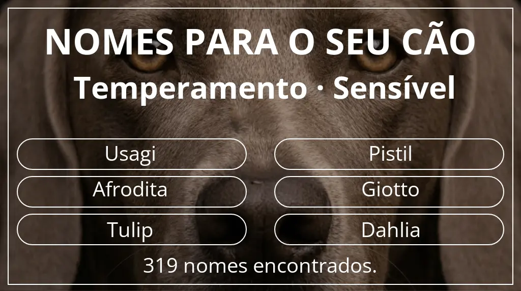 Nomes caninos com inspiração em temperamento sensível