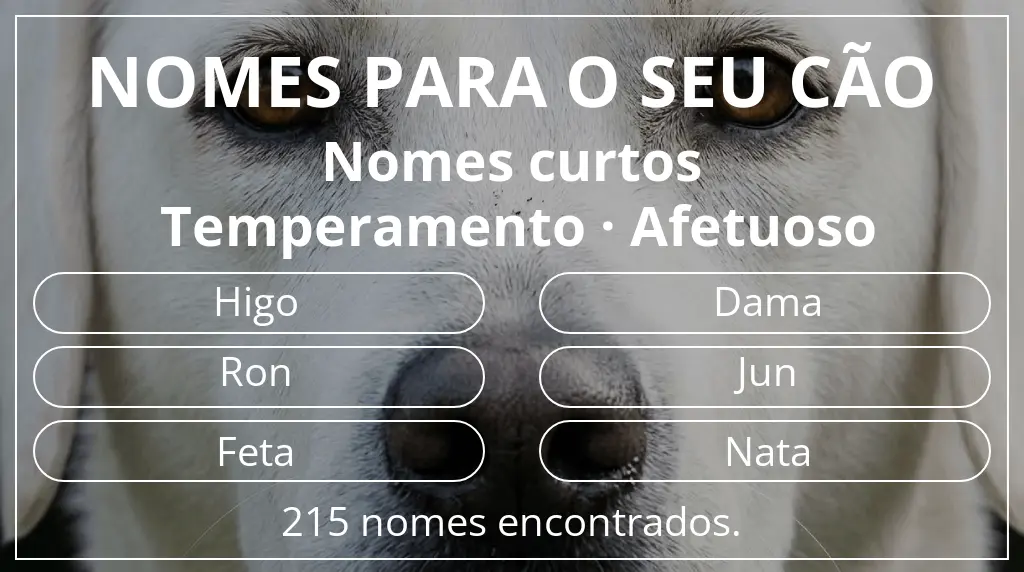 Nomes para cães baseados em comprimento do nome curto (2–4) e temperamento afetuoso