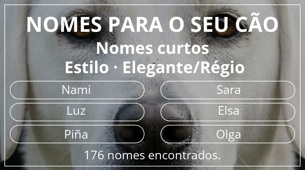 Nomes para cães segundo comprimento do nome curto (2–4) e estilo elegante/régio