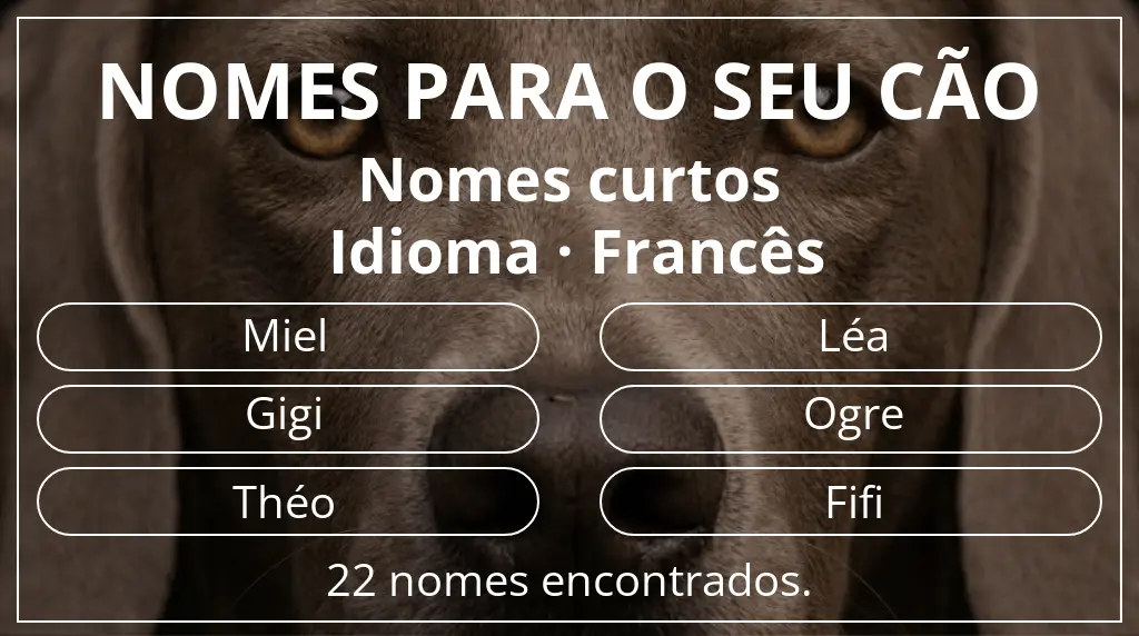Nomes para cães com inspiração em comprimento do nome curto (2–4) e idioma francês