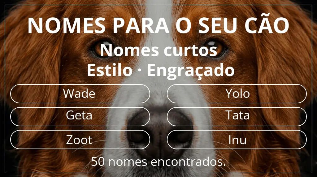 Nomes para cães baseados em comprimento do nome curto (2–4) e estilo engraçado