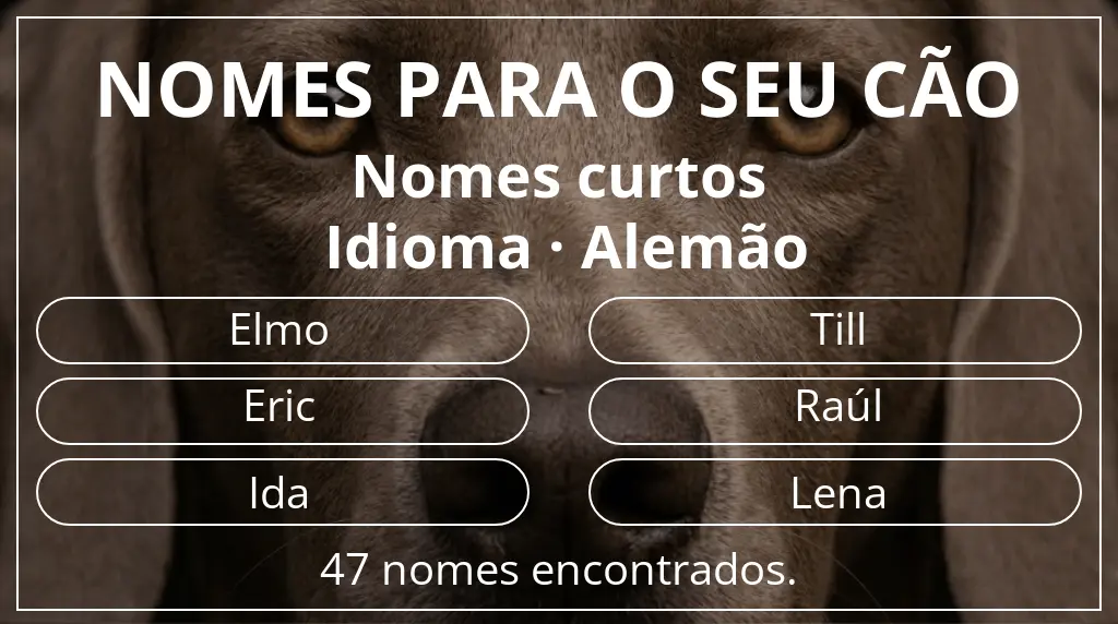 Nomes caninos baseados em comprimento do nome curto (2–4) e idioma alemão