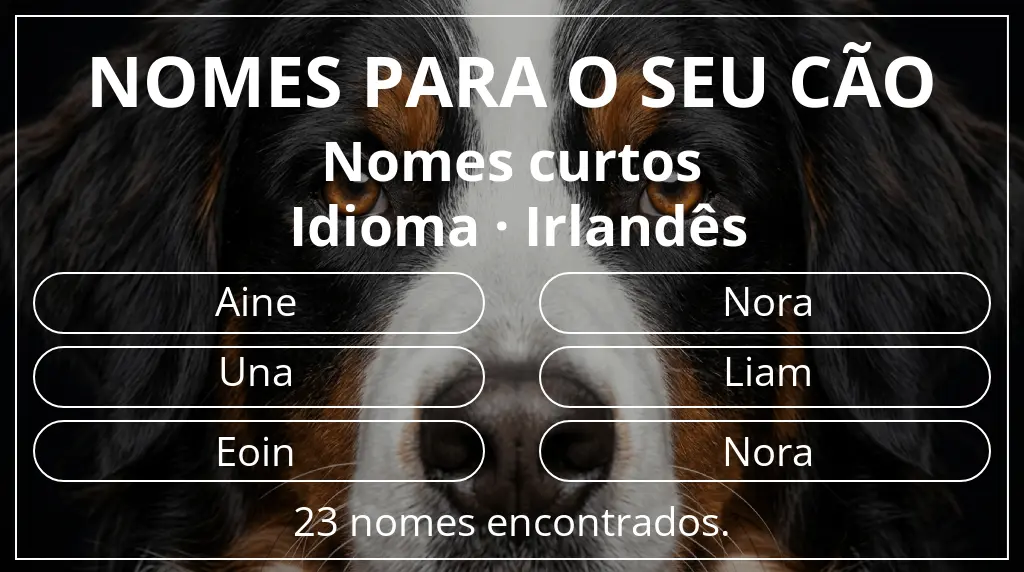 Nomes para cães com inspiração em comprimento do nome curto (2–4) e idioma irlandês