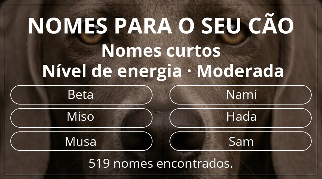 Nomes para cães com inspiração em comprimento do nome curto (2–4) e nível de energia moderada