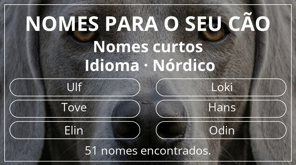 Nomes para cães com inspiração em comprimento do nome curto (2–4) e idioma nórdico