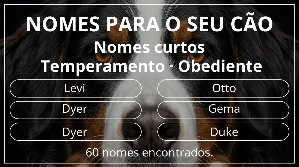 Nomes para cães com inspiração em comprimento do nome curto (2–4) e temperamento obediente