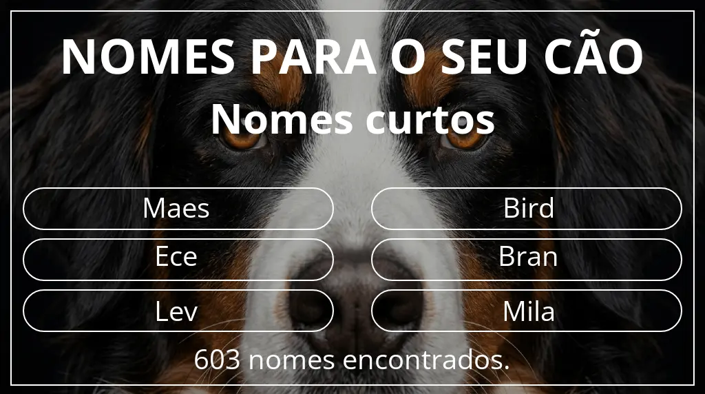 Nomes para cães com inspiração em comprimento do nome curto (2–4)