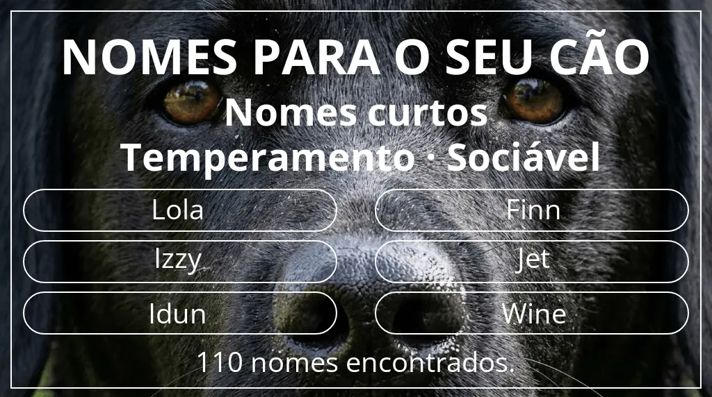 Nomes para cães com inspiração em comprimento do nome curto (2–4) e temperamento sociável