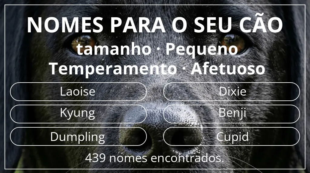 Nomes para cães baseados em tamanho pequeno e temperamento afetuoso