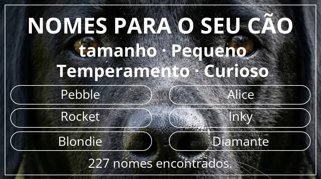 Nomes para cães baseados em tamanho pequeno e temperamento curioso