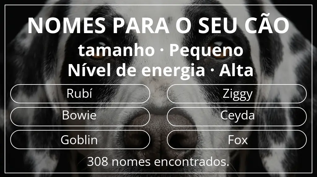 Nomes caninos baseados em tamanho pequeno e nível de energia alta