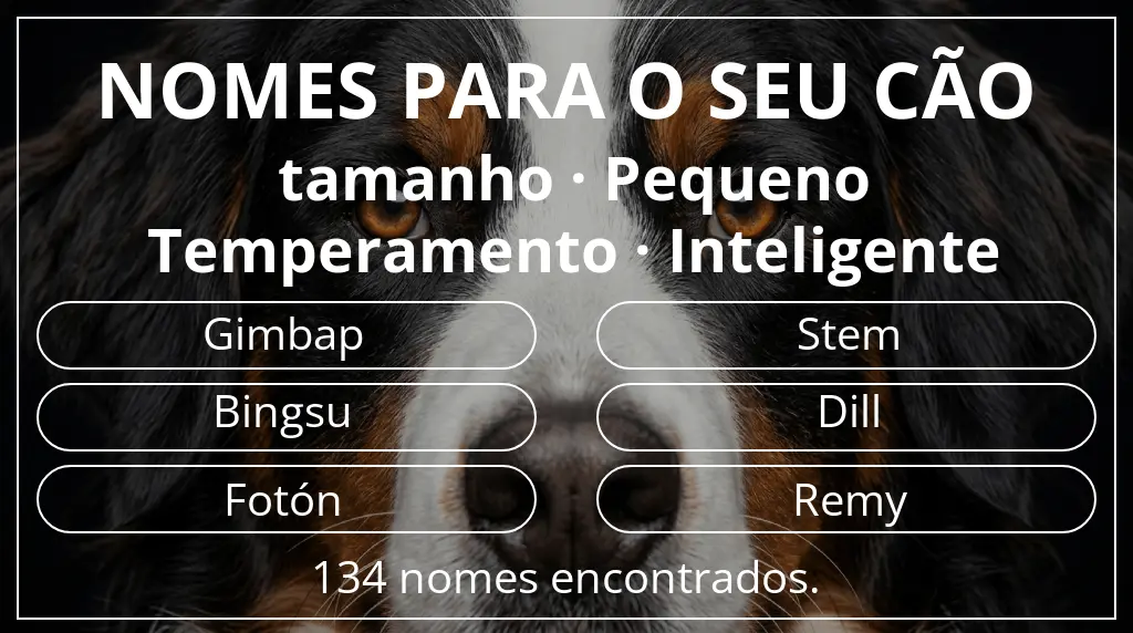 Nomes para cães baseados em tamanho pequeno e temperamento inteligente