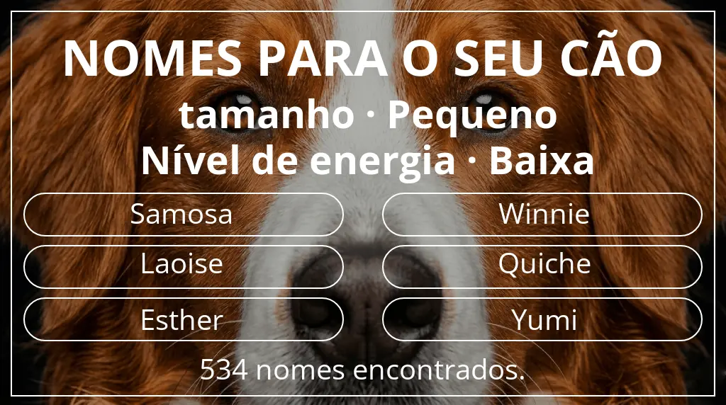 Nomes para cães baseados em tamanho pequeno e nível de energia baixa
