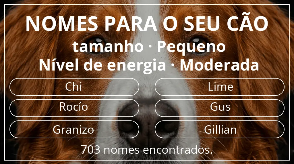 Nomes caninos com inspiração em tamanho pequeno e nível de energia moderada