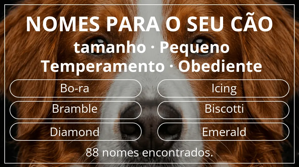 Nomes para cães baseados em tamanho pequeno e temperamento obediente