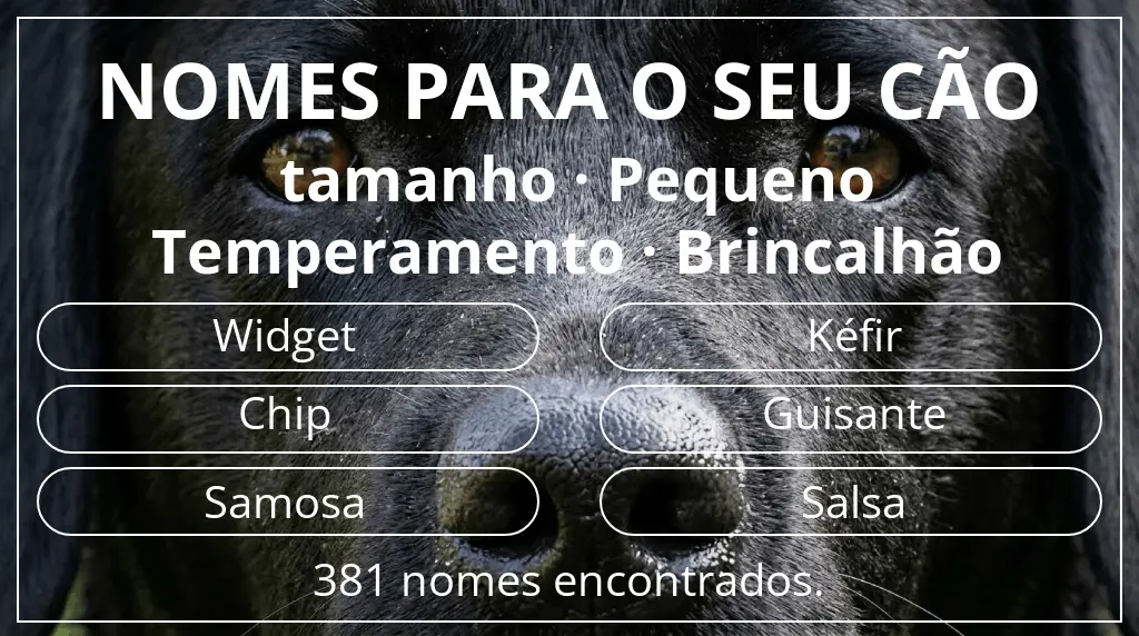 Nomes para cães com inspiração em tamanho pequeno e temperamento brincalhão