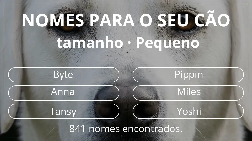 Nomes para cães baseados em tamanho pequeno