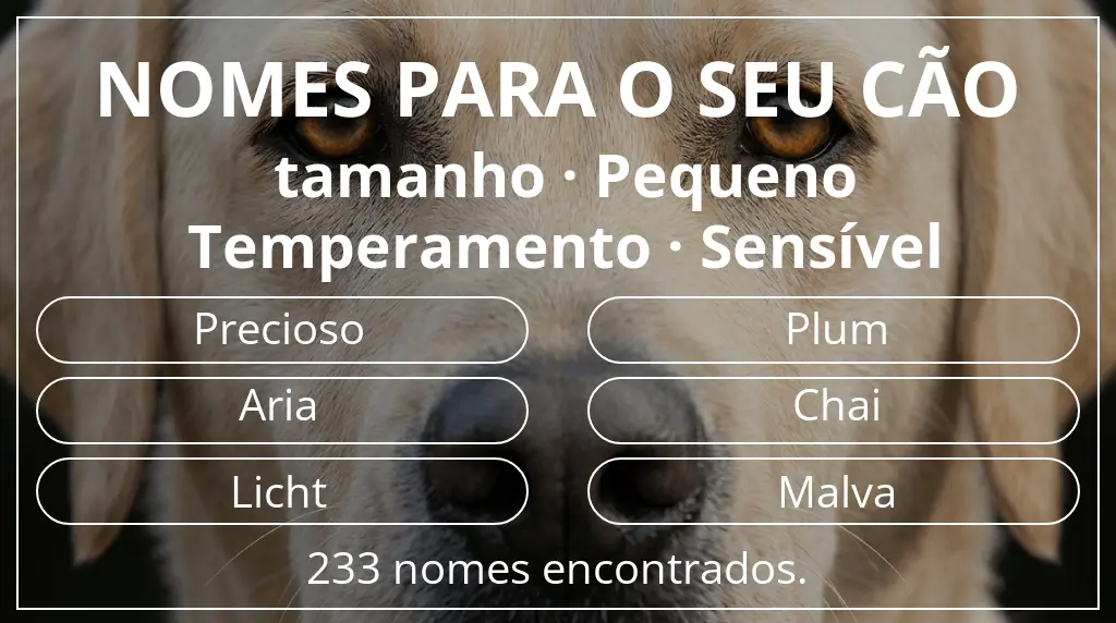 Nomes para cães segundo tamanho pequeno e temperamento sensível