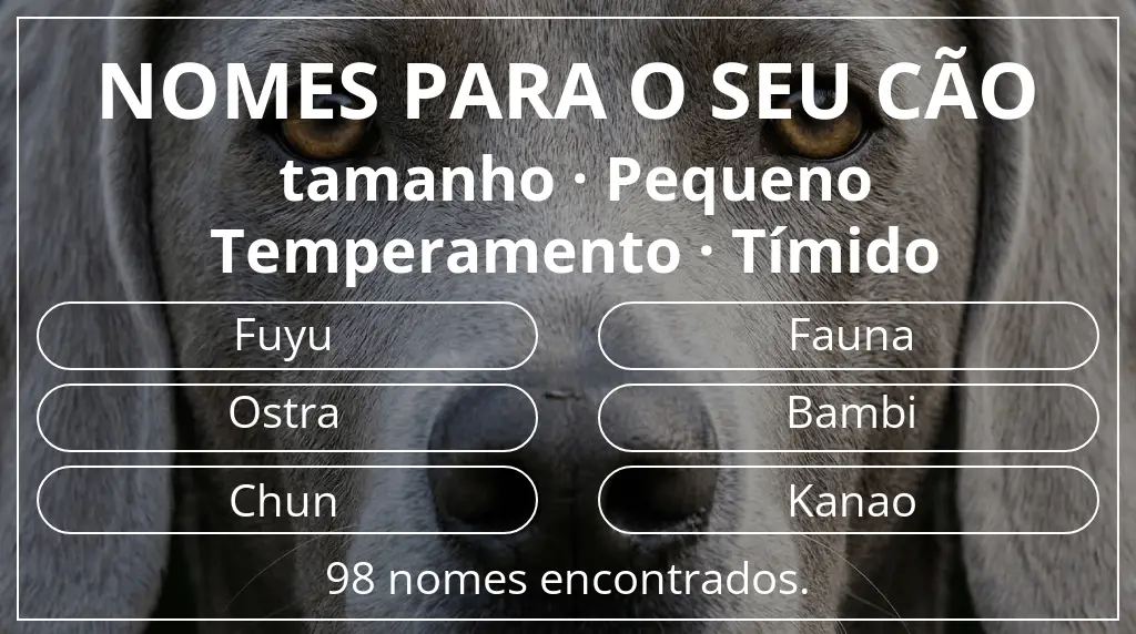 Nomes para cães baseados em tamanho pequeno e temperamento tímido