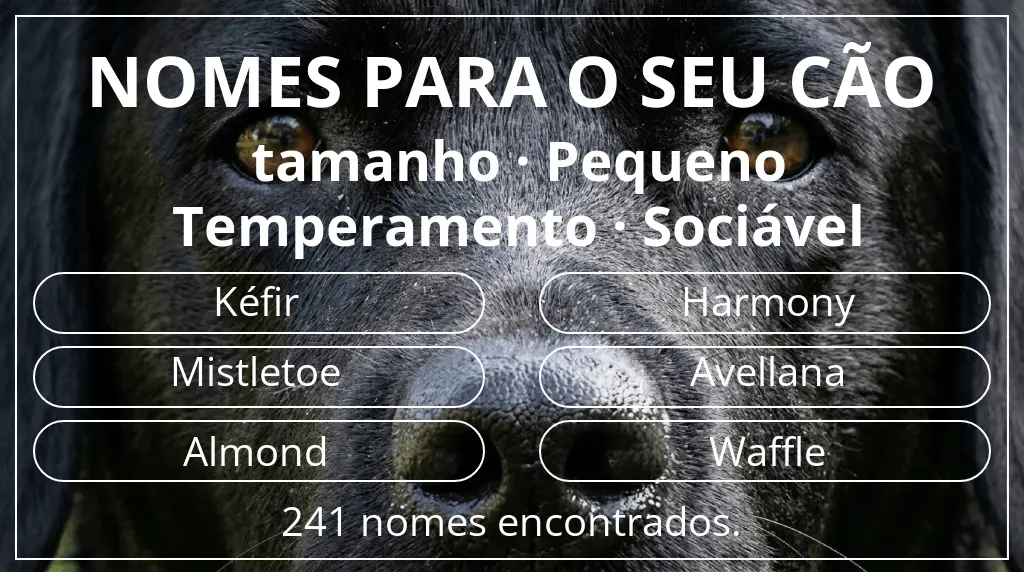 Nomes para cães com inspiração em tamanho pequeno e temperamento sociável