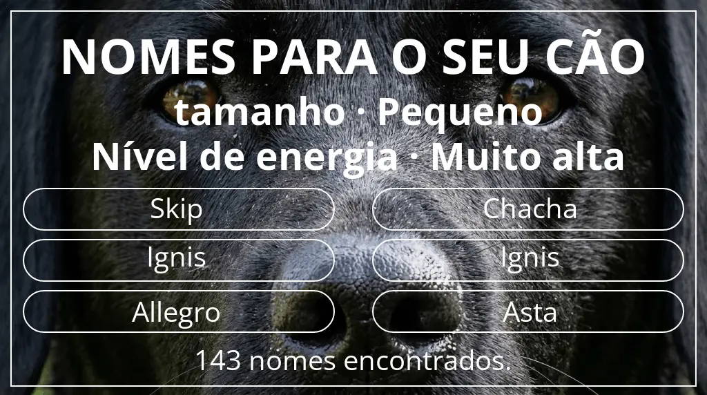 Nomes para cães segundo tamanho pequeno e nível de energia muito alta