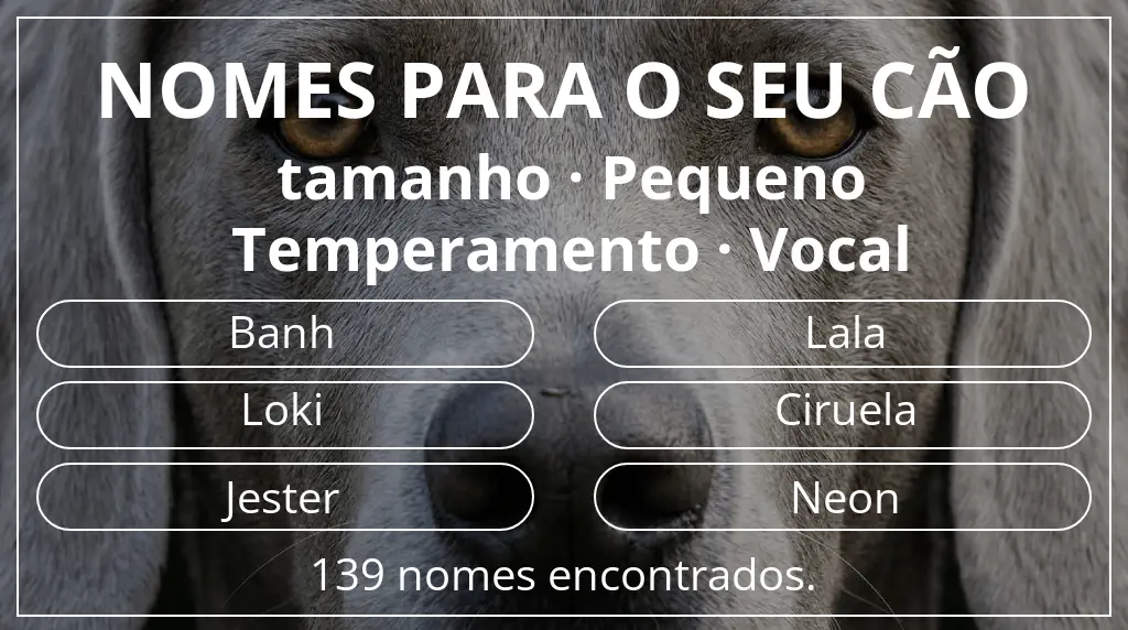 Nomes para cães segundo tamanho pequeno e temperamento vocal