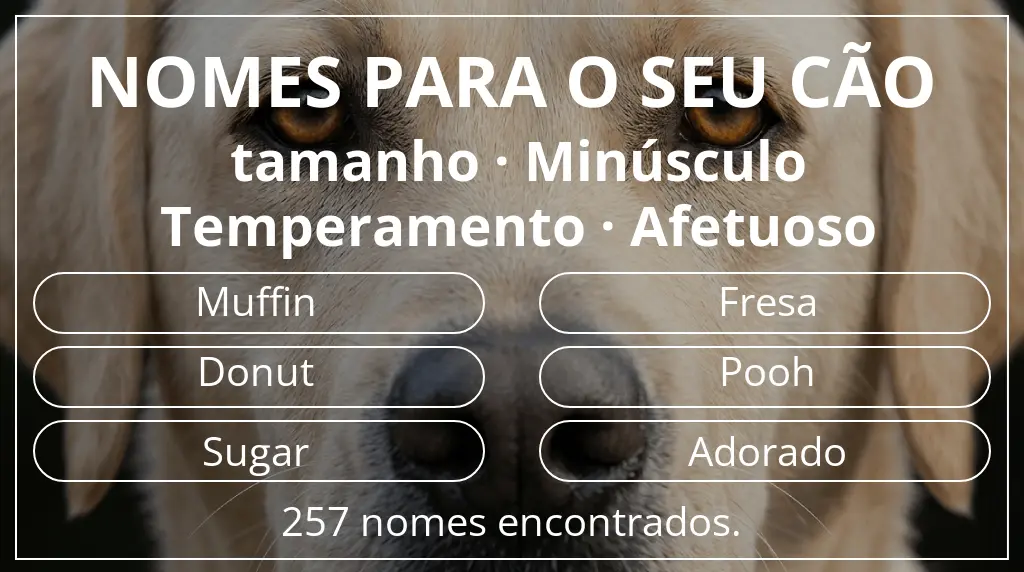 Nomes caninos segundo tamanho minúsculo e temperamento afetuoso