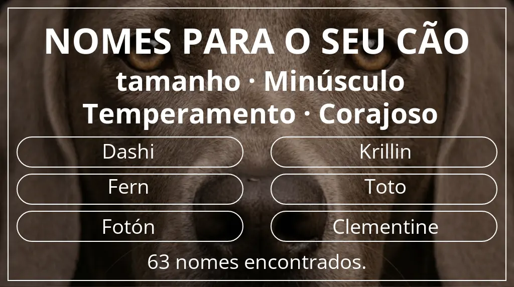 Nomes para cães com inspiração em tamanho minúsculo e temperamento corajoso