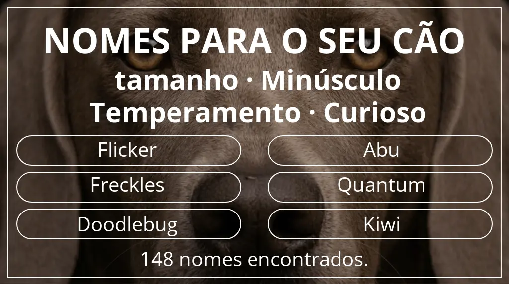 Nomes para cães segundo tamanho minúsculo e temperamento curioso