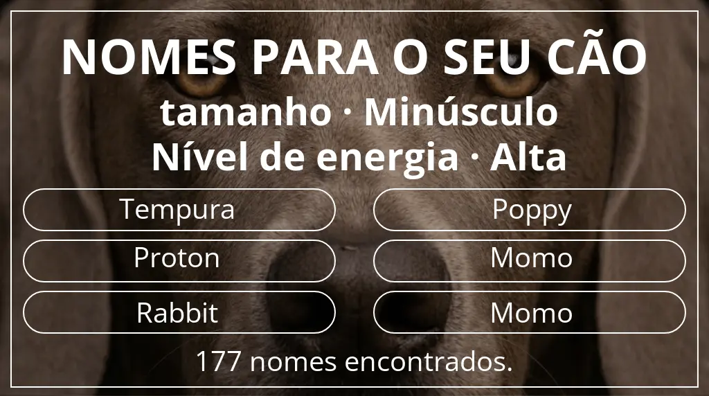 Nomes para cães baseados em tamanho minúsculo e nível de energia alta