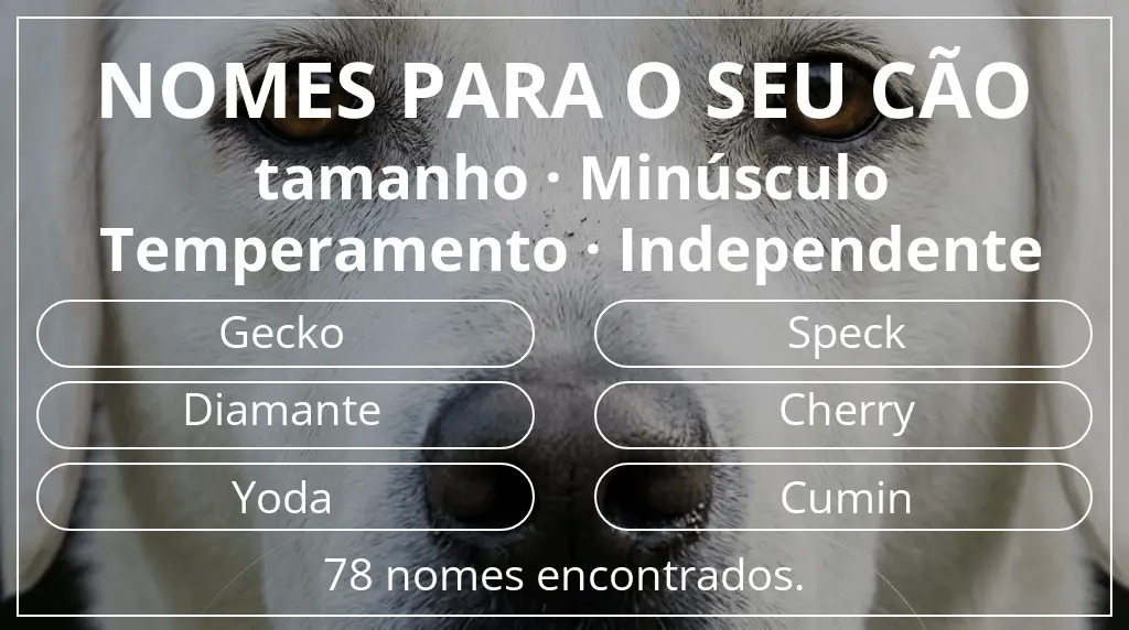 Nomes caninos baseados em tamanho minúsculo e temperamento independente