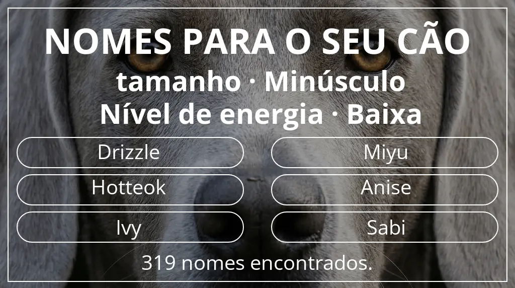 Nomes para cães segundo tamanho minúsculo e nível de energia baixa