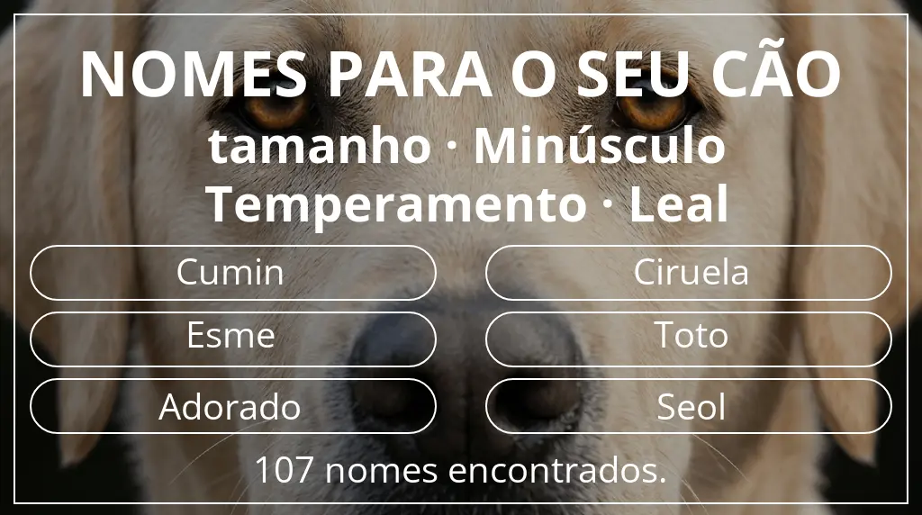 Nomes para cães baseados em tamanho minúsculo e temperamento leal
