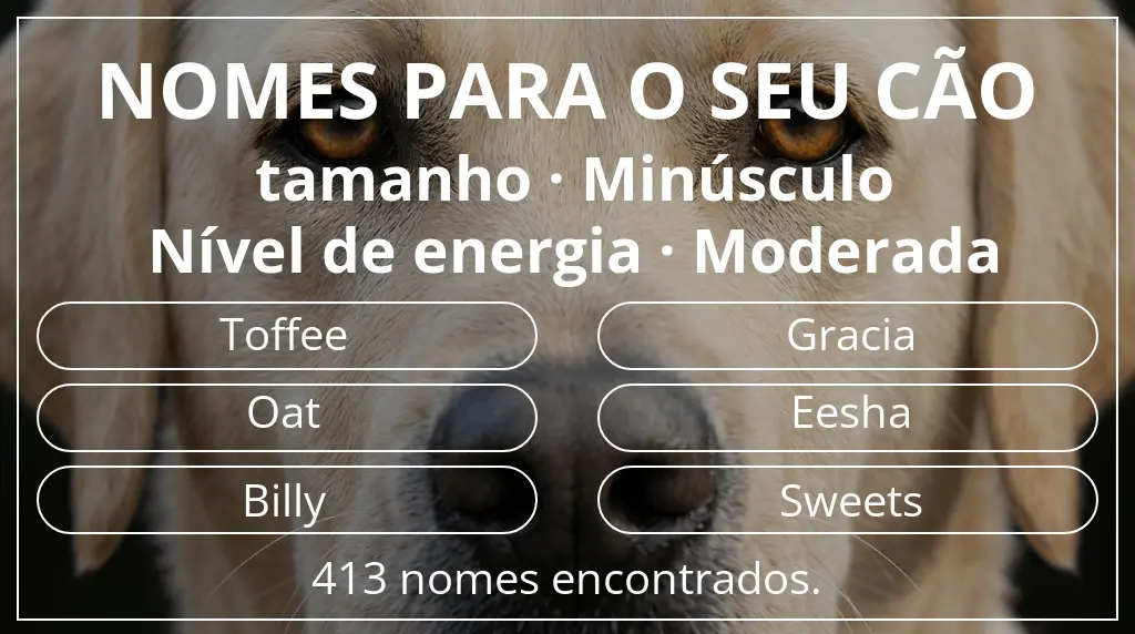 Nomes caninos segundo tamanho minúsculo e nível de energia moderada