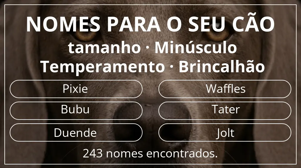 Nomes para cães com inspiração em tamanho minúsculo e temperamento brincalhão