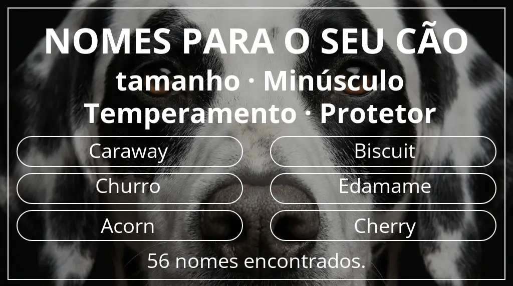 Nomes para cães segundo tamanho minúsculo e temperamento protetor