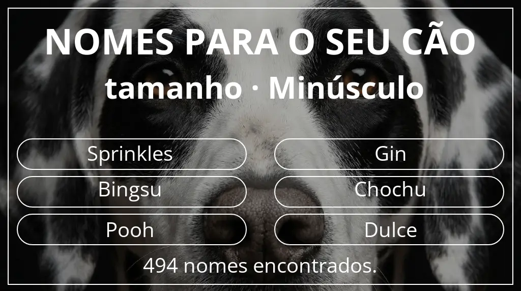 Nomes caninos com inspiração em tamanho minúsculo