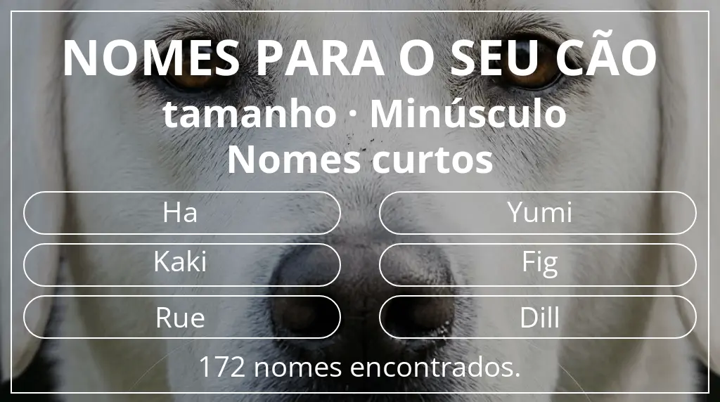 Nomes para cães segundo tamanho minúsculo e comprimento do nome curto (2–4)