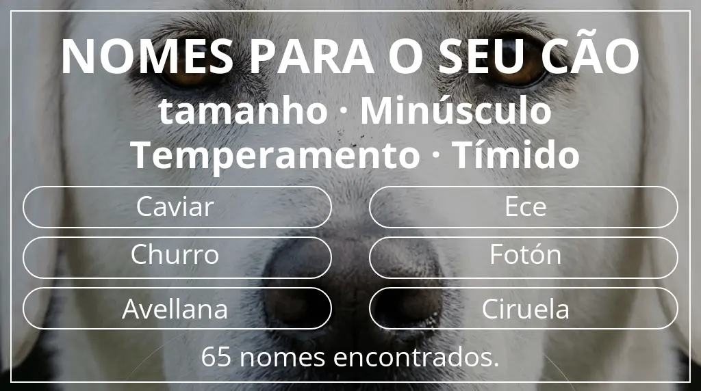 Nomes caninos baseados em tamanho minúsculo e temperamento tímido