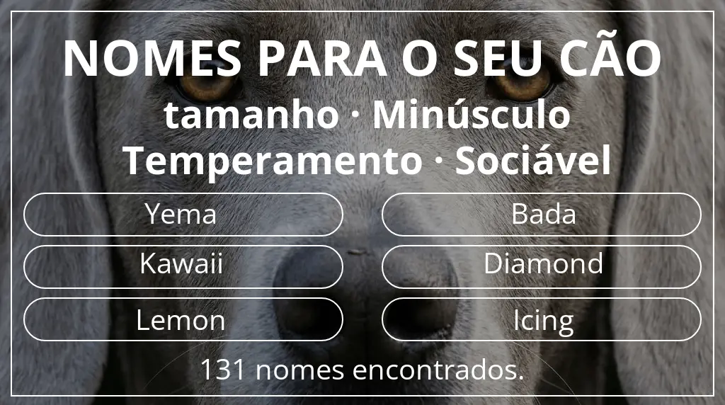 Nomes caninos baseados em tamanho minúsculo e temperamento sociável