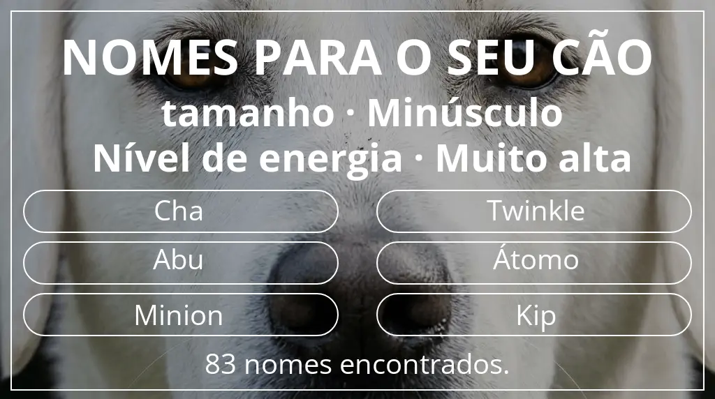 Nomes para cães segundo tamanho minúsculo e nível de energia muito alta