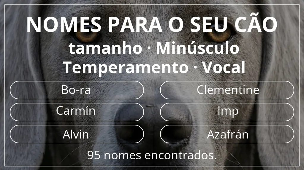 Nomes para cães com inspiração em tamanho minúsculo e temperamento vocal