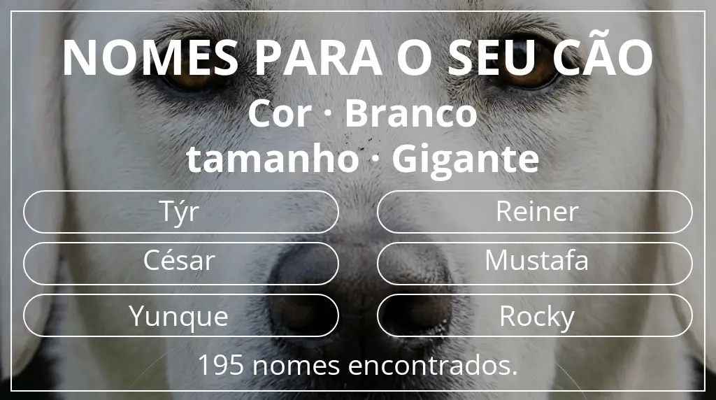 Nomes caninos baseados em cor branco e tamanho gigante