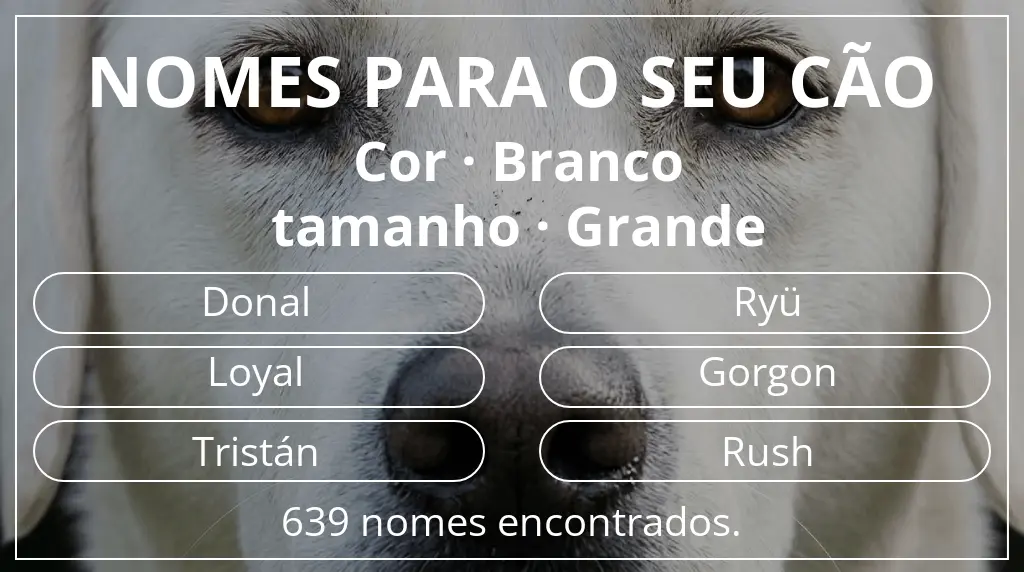 Nomes caninos com inspiração em cor branco e tamanho grande